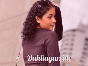 Dahliagarrido