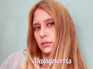 Daisynorris