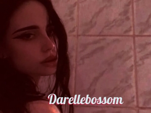 Darellebossom