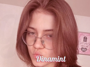Dinamint