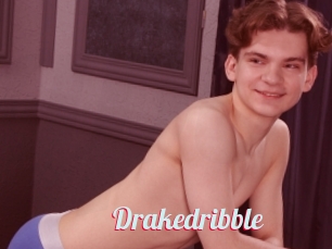 Drakedribble