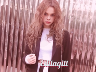 Editagitt
