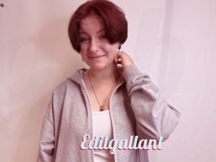 Editgallant