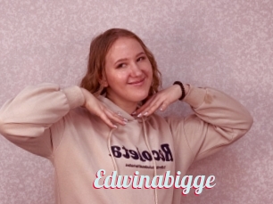 Edwinabigge