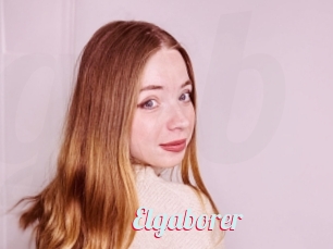 Elgaborer