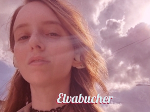 Elvabucher