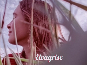 Elvagrise