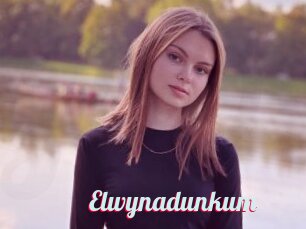 Elwynadunkum