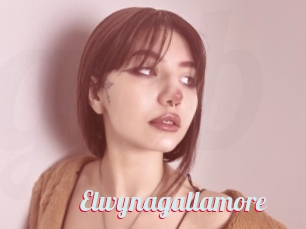 Elwynagallamore