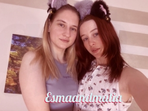 Esmaandmatia