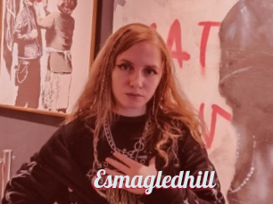 Esmagledhill
