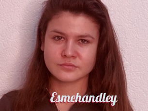 Esmehandley