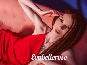 Evabellerose