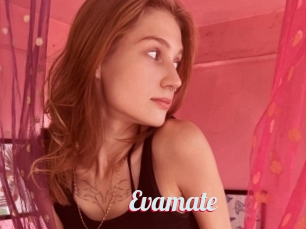 Evamate