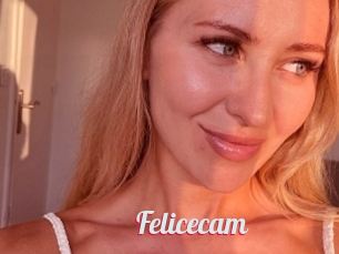 Felicecam