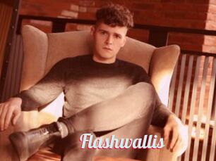 Flashwallis