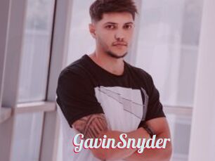 GavinSnyder