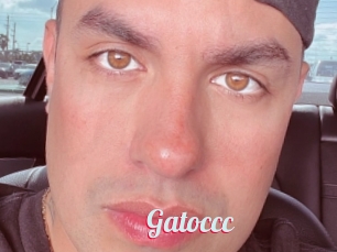 Gatoccc