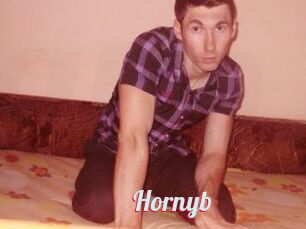 Hornyb