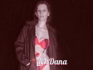 ItIsDana