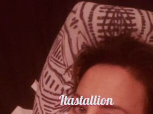 Itastallion