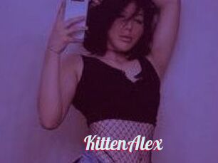 KittenAlex