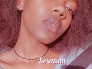 Kesandu