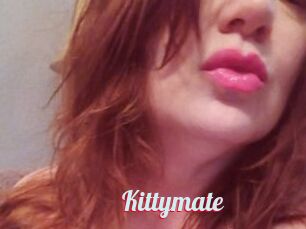 Kittymate