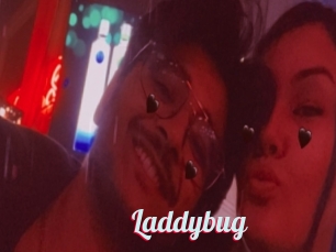 Laddybug