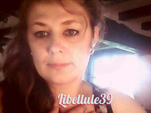 Libellule39