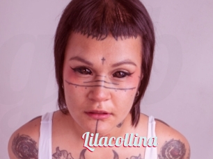 Lilacollina