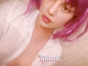 Lilucat