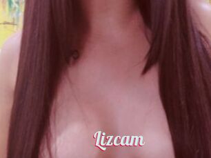 Lizcam