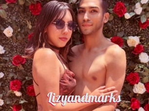 Lizyandmarks