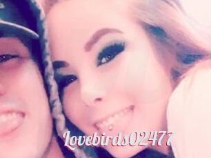 Lovebirds02477