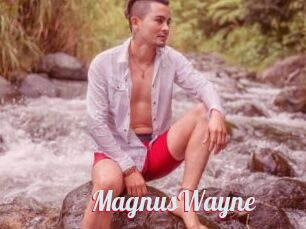 MagnusWayne