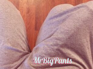MrBigPants