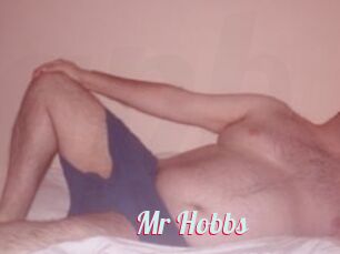 Mr_Hobbs