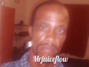 Mrjuiceflow