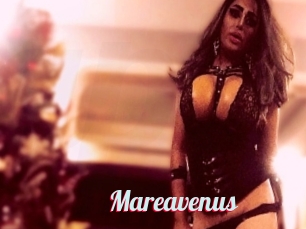 Mareavenus