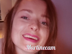 Martinecam
