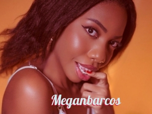 Meganbarcos