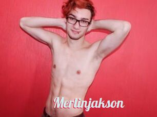 Merlinjakson