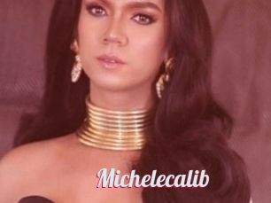 Michelecalib