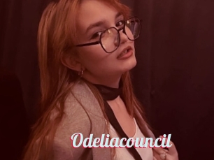 Odeliacouncil