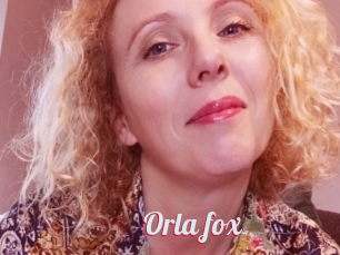 Orla_fox