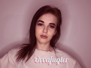 Orvafugler