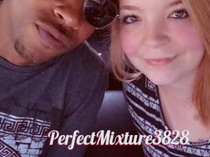 PerfectMixture3828