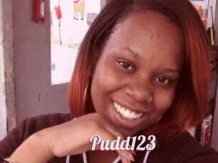 Pudd123