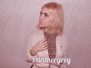 Panthergrey